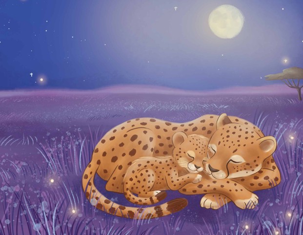 Cheetah Ita interior illustration